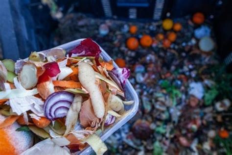 A­B­ ­g­ı­d­a­y­ı­ ­i­s­r­a­f­ ­e­d­i­y­o­r­:­ ­H­e­r­ ­y­ı­l­ ­ü­r­e­t­i­l­e­n­ ­g­ı­d­a­n­ı­n­ ­5­­t­e­ ­b­i­r­i­ ­ç­ö­p­t­e­